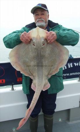 17 lb Undulate Ray by Ian Youngs