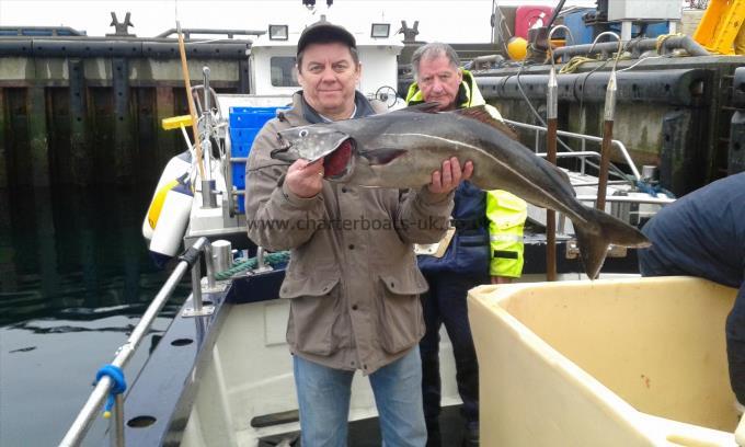 16 lb 6 oz Coalfish (Coley/Saithe) by Bryan Graham