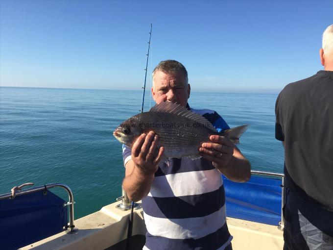 4 lb Black Sea Bream by Mike