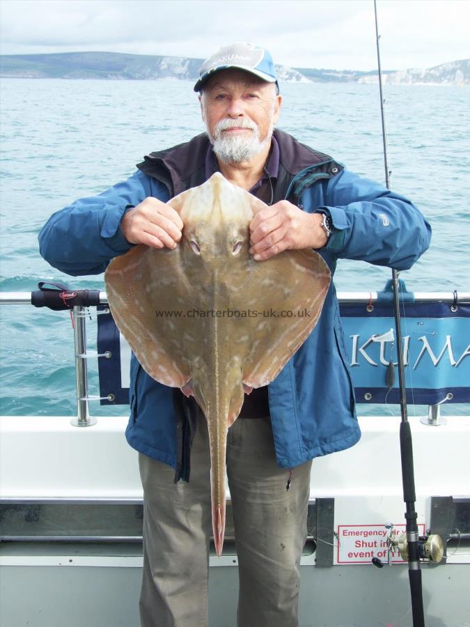 7 lb Small-Eyed Ray by Ian Youngs