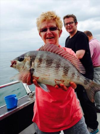 3 lb 4 oz Black Sea Bream by Unknown