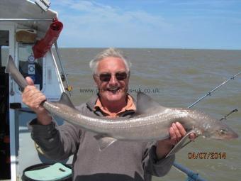 10 lb Smooth-hound (Common) by Mick