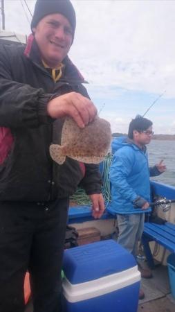 8 oz Brill by Nick Gough