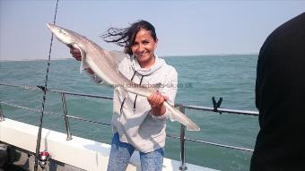 7 lb Starry Smooth-hound by Bob Marshall