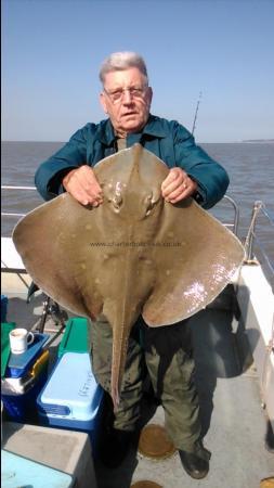 14 lb Blonde Ray by Pat