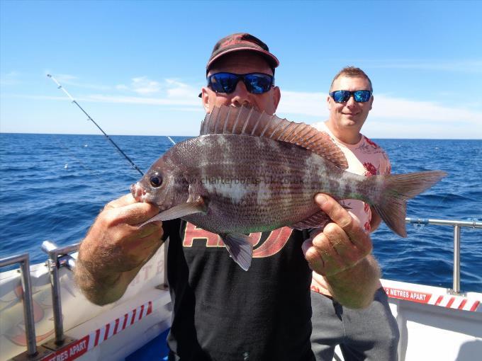 2 lb Black Sea Bream by Unknown