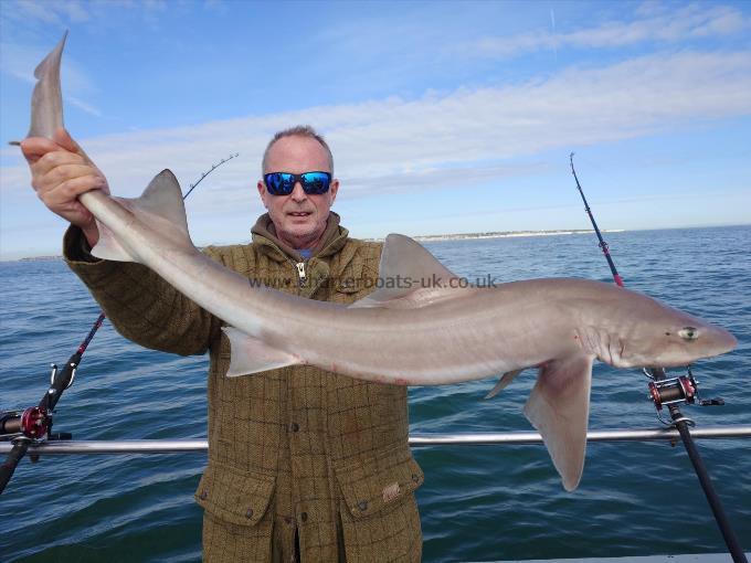 13 lb Smooth-hound (Common) by Michael button