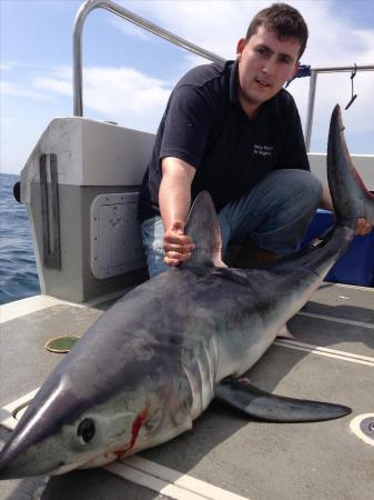 96 lb Porbeagle by Luke Rees