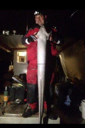 37 lb Conger Eel by JG the Beastmaster