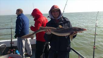 12 lb 8 oz Spurdog by gethin clark SV Lads