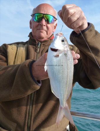 1 lb 4 oz Red Sea Bream by Gerry Todd