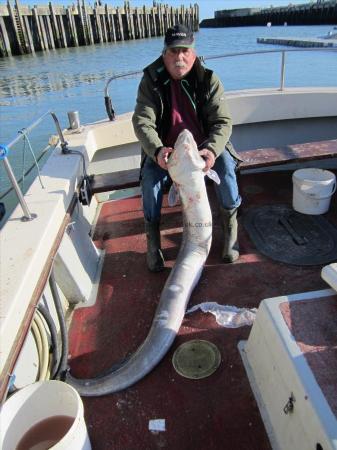 60 lb Conger Eel by Stephen Wake