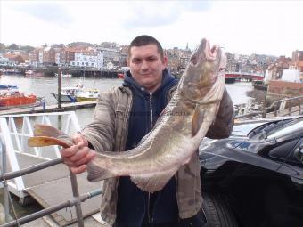 14 lb Cod by Marek Pracowity.