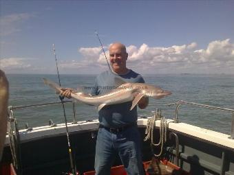 16 lb Starry Smooth-hound by Derek Mole