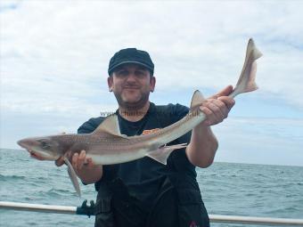 6 lb Starry Smooth-hound by Pete the Beat :)