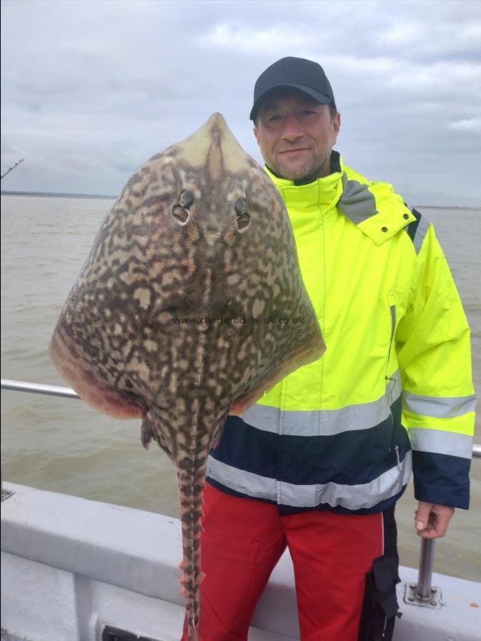 10 lb Thornback Ray by David