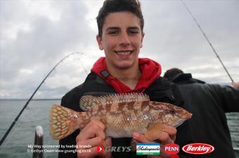 1 lb 8 oz Ballan Wrasse by Ethan