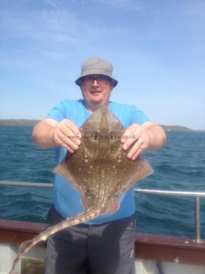 5 lb Thornback Ray by Fin