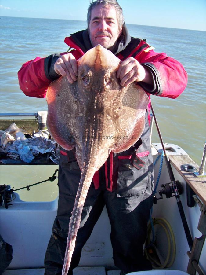 15 lb Thornback Ray by danny