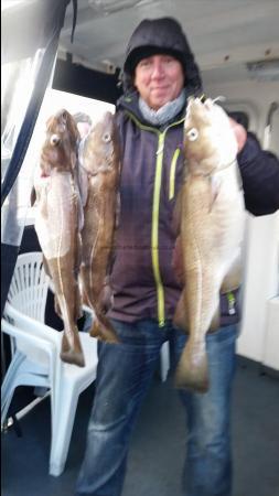 7 lb 2 oz Cod by Unknown