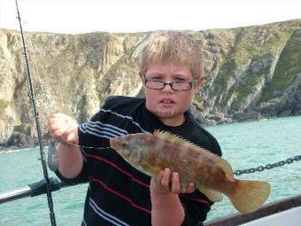 2 lb Ballan Wrasse by Ashley Crowther