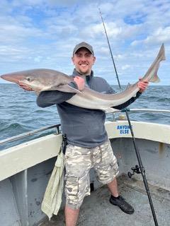 45 lb Tope by Simon
