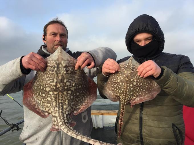 8 lb Thornback Ray by Unknown