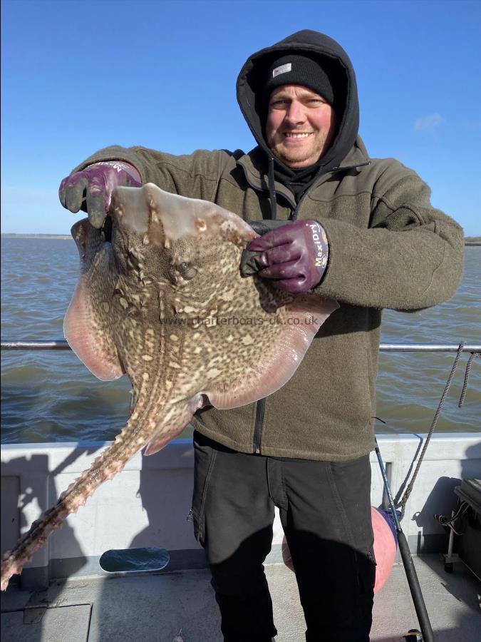 11 lb 7 oz Thornback Ray by Unknown
