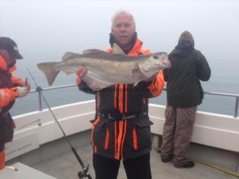 8 lb 4 oz Pollock by Mike Hansell