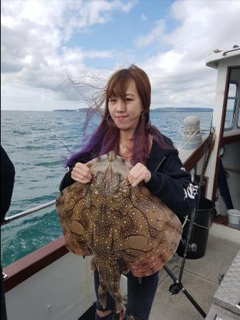 14 lb 6 oz Undulate Ray by Unknown