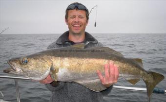 13 lb Pollock by Dave Harper