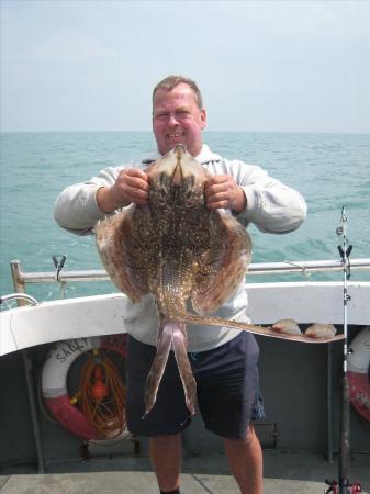 11 lb Undulate Ray by Guys mate