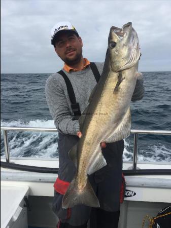 15 lb Pollock by Kevin McKie