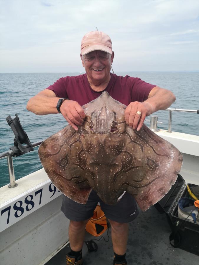 14 lb Undulate Ray by Tony