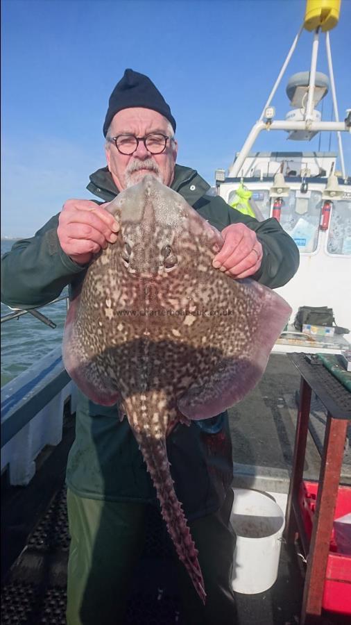 12 lb Thornback Ray by Dave from Maidstone