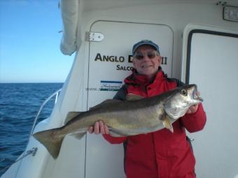 13 lb 4 oz Pollock by Dave Longstaff