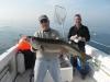 18 lb 9 oz Pollock by Brian Dale