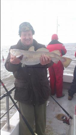 6 lb Cod by david cook