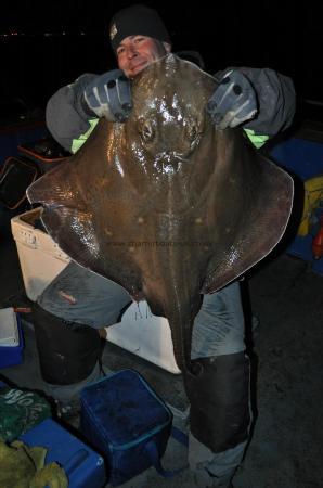 24 lb Blonde Ray by Unknown
