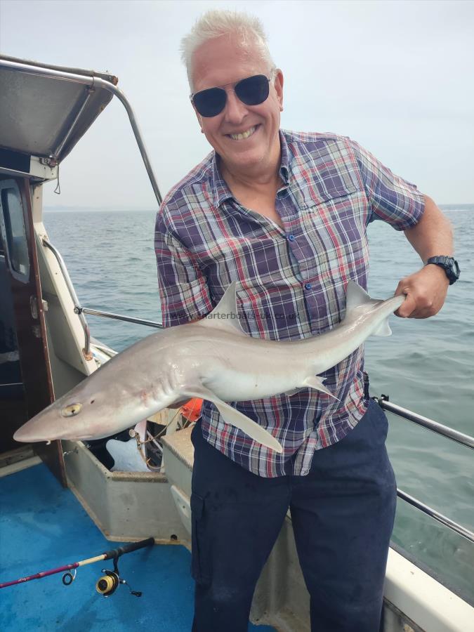 8 lb Smooth-hound by Unknown