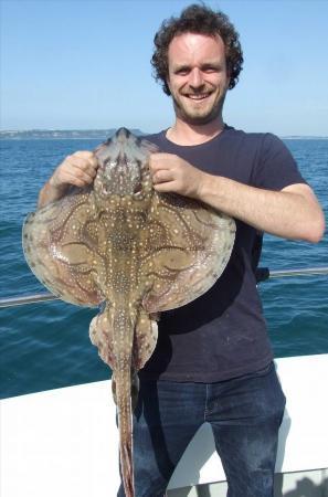 10 lb Undulate Ray by Undulate Ray