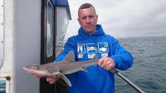 4 lb 5 oz Starry Smooth-hound by Mick from Essex