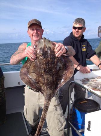 14 lb Undulate Ray by Jamie