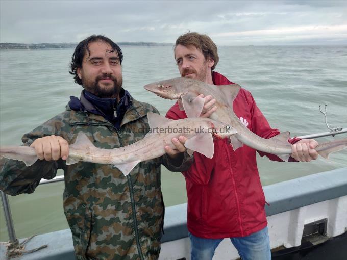 4 lb 2 oz Starry Smooth-hound by Justin and Dave