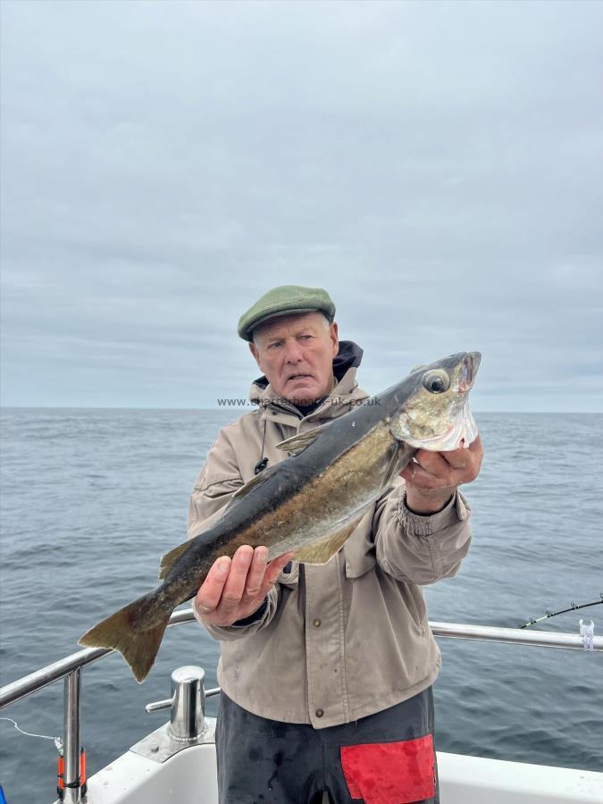 4 lb 4 oz Pollock by Norman Taylor