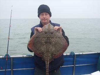 12 lb Thornback Ray by Unknown