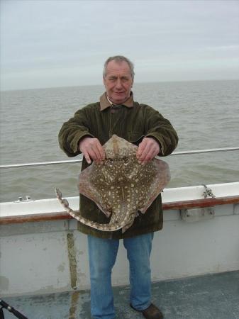 11 lb 8 oz Thornback Ray by Johnny Low