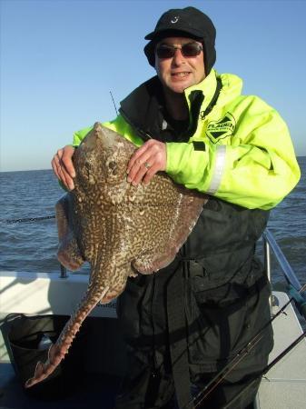 11 lb Thornback Ray by geoff