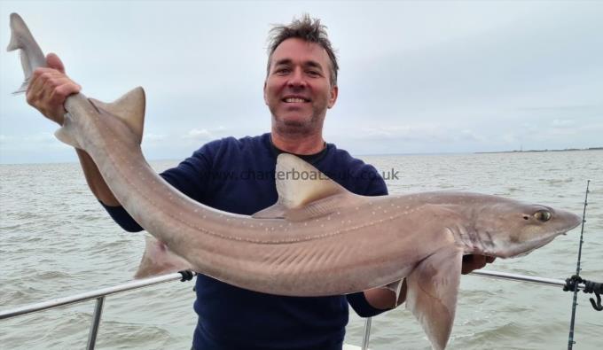21 lb 10 oz Starry Smooth-hound by Terry