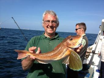 3 lb 9 oz Tub Gurnard by Alan Minter